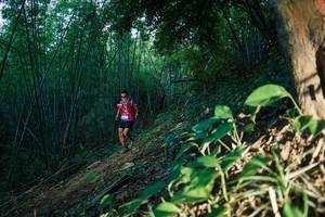 BIB: 
                            <button type="button" onclick="openModal(28124055)" class="btn btn-primary btn-sm float-right btn-popup" data-toggle="modal" data-target=".modal-high-quality">
                        <i class="fas fa-shopping-cart"></i> Add to Cart
                    </button>
                                            <button type="button" onclick="isThisMe(28124055, true)" class="btn btn-success btn-sm float-right btn-popup btn-isme hidden" data-toggle="tooltip" data-placement="bottom" title="นี่คือรูปของคุณใช่ไหม คลิกที่นี่เพื่อเอาเข้าอัลบั้ม">
                        <i class="fas fa-plus"></i> Add to album
                    </button>
                    <button type="button" onclick="isThisMe(28124055, false)" class="btn btn-warning btn-sm float-right btn-popup btn-isnotme hidden">
                        <i class="fas fa-ban"></i> Remove from album
                    </button>